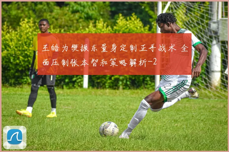 王皓为樊振东量身定制正手战术 全面压制张本智和策略解析