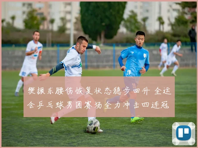 樊振东腰伤恢复状态稳步回升 全运会乒乓球男团赛场全力冲击四连冠